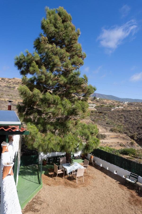 La Zarza Rural Experience By Sunkeyrents Santa Cruz de Tenerife Exterior foto